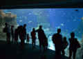Puri marine aquarium tourism project