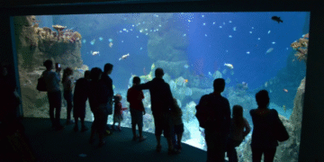 Puri marine aquarium tourism project