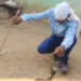 Snake rescuer Santosh Chand death