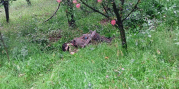 Kulgam terrorist encounter