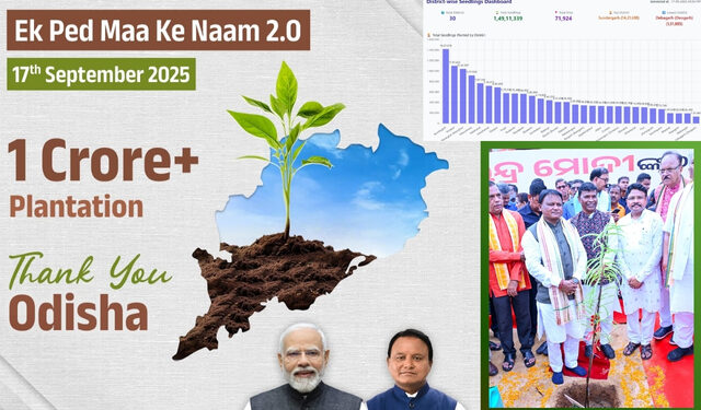 Odisha tree plantation