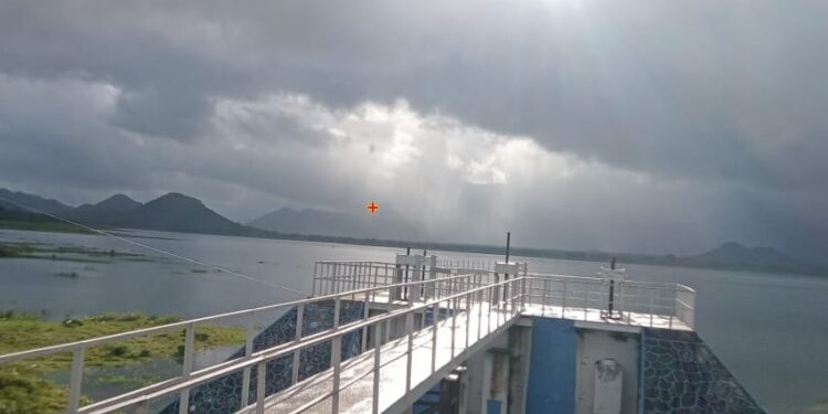Cyclone Montha Odisha Impact