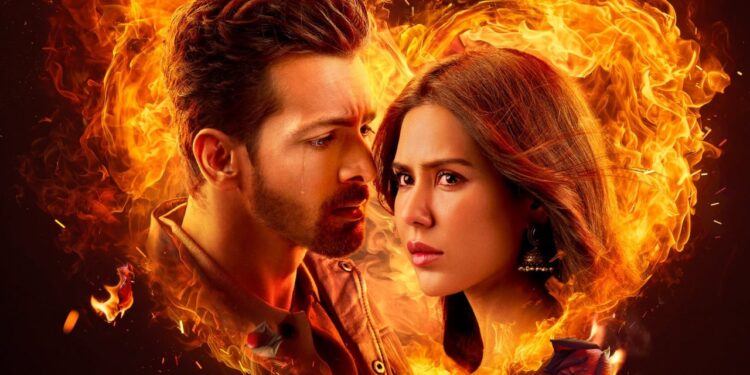 Ek Deewane ki Deewaniyat