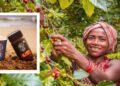 Koraput coffee
