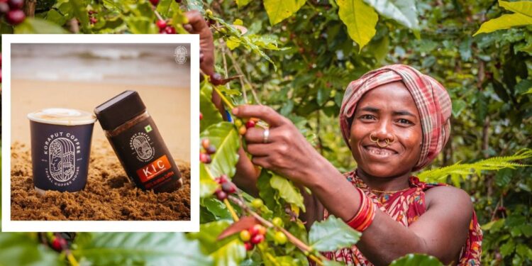 Koraput coffee