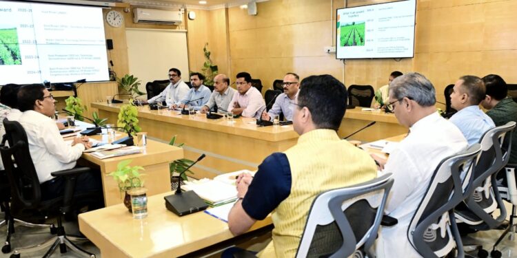 Odisha potato cultivation plan
