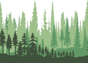 Maoist IED explosion Saranda