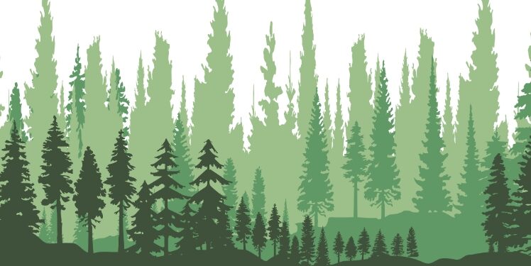 Maoist IED explosion Saranda