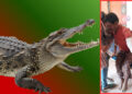 Crocodile attack in Angul
