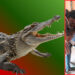 Crocodile attack in Angul