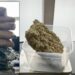 Bhubaneswar airport drug seizure