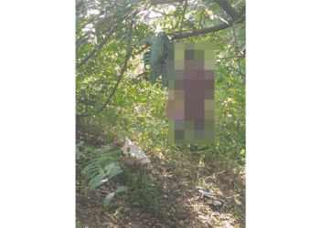 Missing Man Found Dead