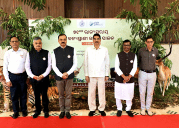 Wildlife Week Celebration