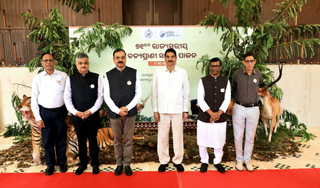 Wildlife Week Celebration