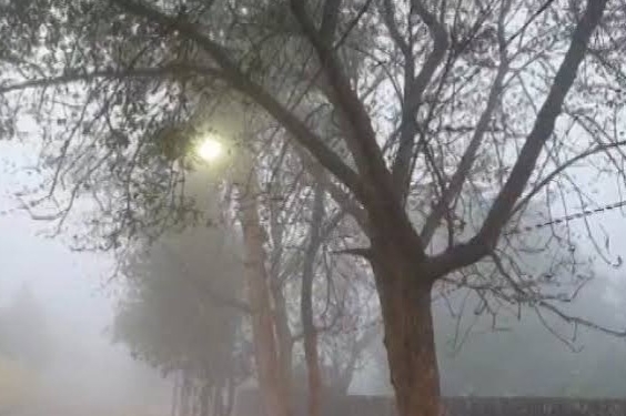 Odisha fog alert