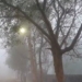 Odisha fog alert