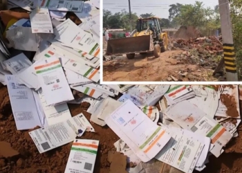 Aadhaar cards