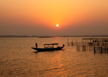 Boat Stalls in Chilika