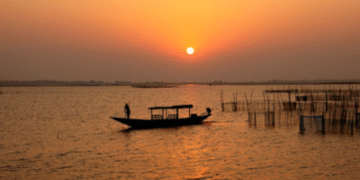 Boat Stalls in Chilika