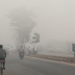 Odisha Cold Wave