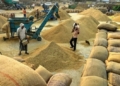 Odisha Kharif paddy procurement