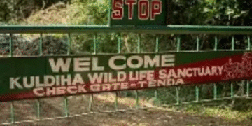 Kuldiha Wildlife Sanctuary