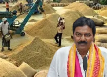 Odisha paddy procurement mandis