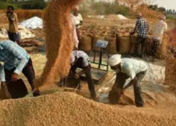 Odisha paddy MSP hike
