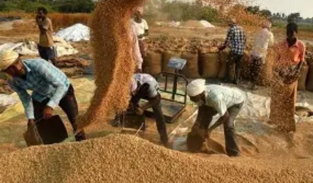 Odisha paddy MSP hike