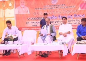 Certified seed potato distribution