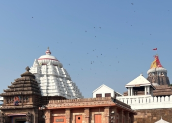 Darshan at Puri Srimandir Suspended From 6-10 PM for Banakalagi Ritual Tomorrow