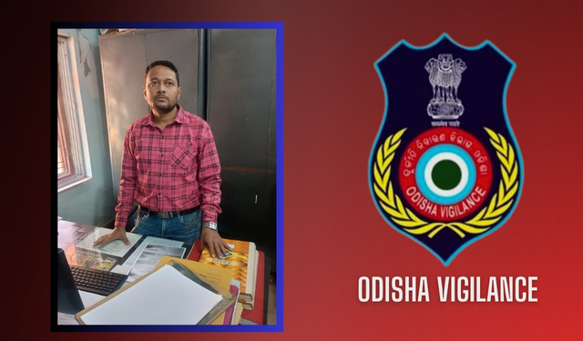 Senior Revenue Assistant