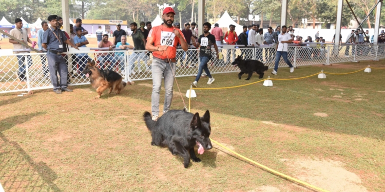 Bhubaneswar German Shepherd Dog Show