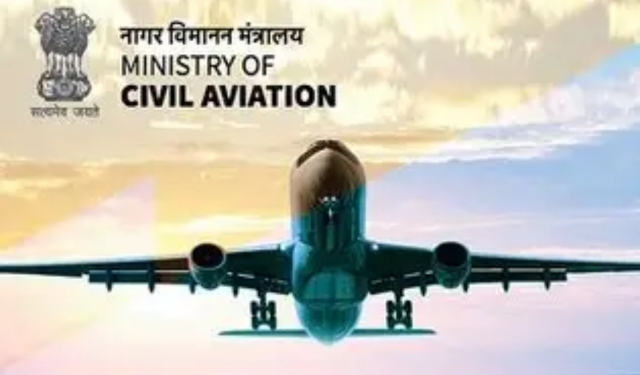 Domestic airfare cap