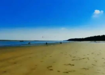 Illegal liquor sales at Udaypur Beach