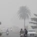 Odisha cold wave