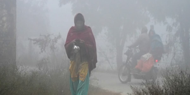Cold Wave Intensifies Across Odisha as Semiliguda Records 5.7°C, IMD Warns of Chilly Days Ahead