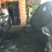 Deogarh Gas Cylinder Explosion
