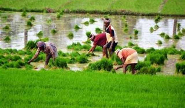 Sambalpur farmers token crisis