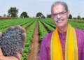 Fertiliser Black Marketing in Odisha