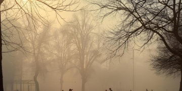 Cold Wave Return Odisha