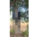 Youth Found Hanging from Tree in Kalahandi