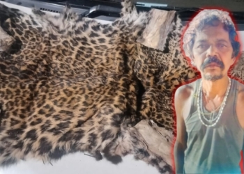leopard skin seizure Odisha