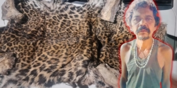 leopard skin seizure Odisha
