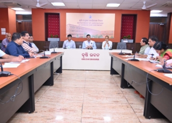 Millet Mission: Govt Reviews MSP Procurement Plans