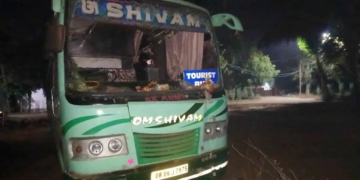 Cattle smuggling in tourist bus