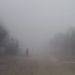 Rourkela Records All-Time Low of 3.6°C as Severe Cold Wave Grips Odisha