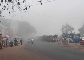 Odisha fog and cold wave