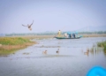 Chilika Bird Festival Day 2