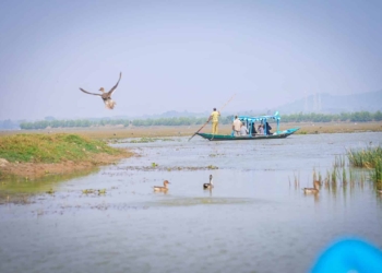 Chilika Bird Festival Day 2